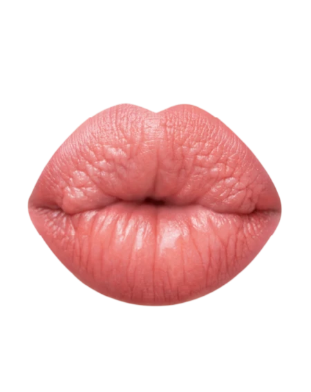 ASTRA - ROSSETTO MADAME LIPSTYLO