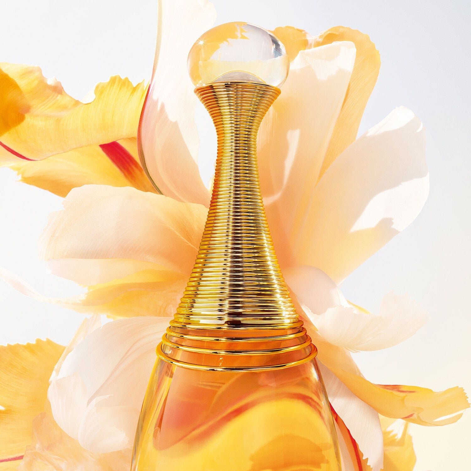 DIOR - DIOR J'ADORE - Eau de Toilette