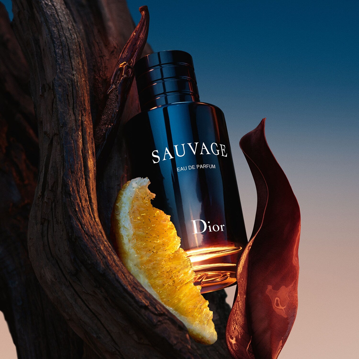 DIOR - SAUVAGE - Eau de Parfum