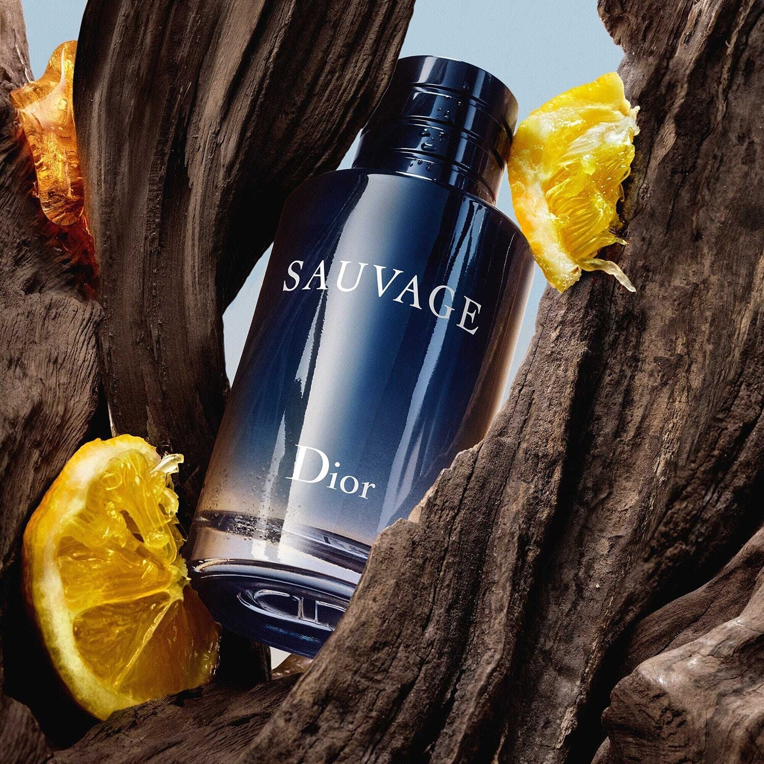 DIOR - SAUVAGE - Eau de Toilette
