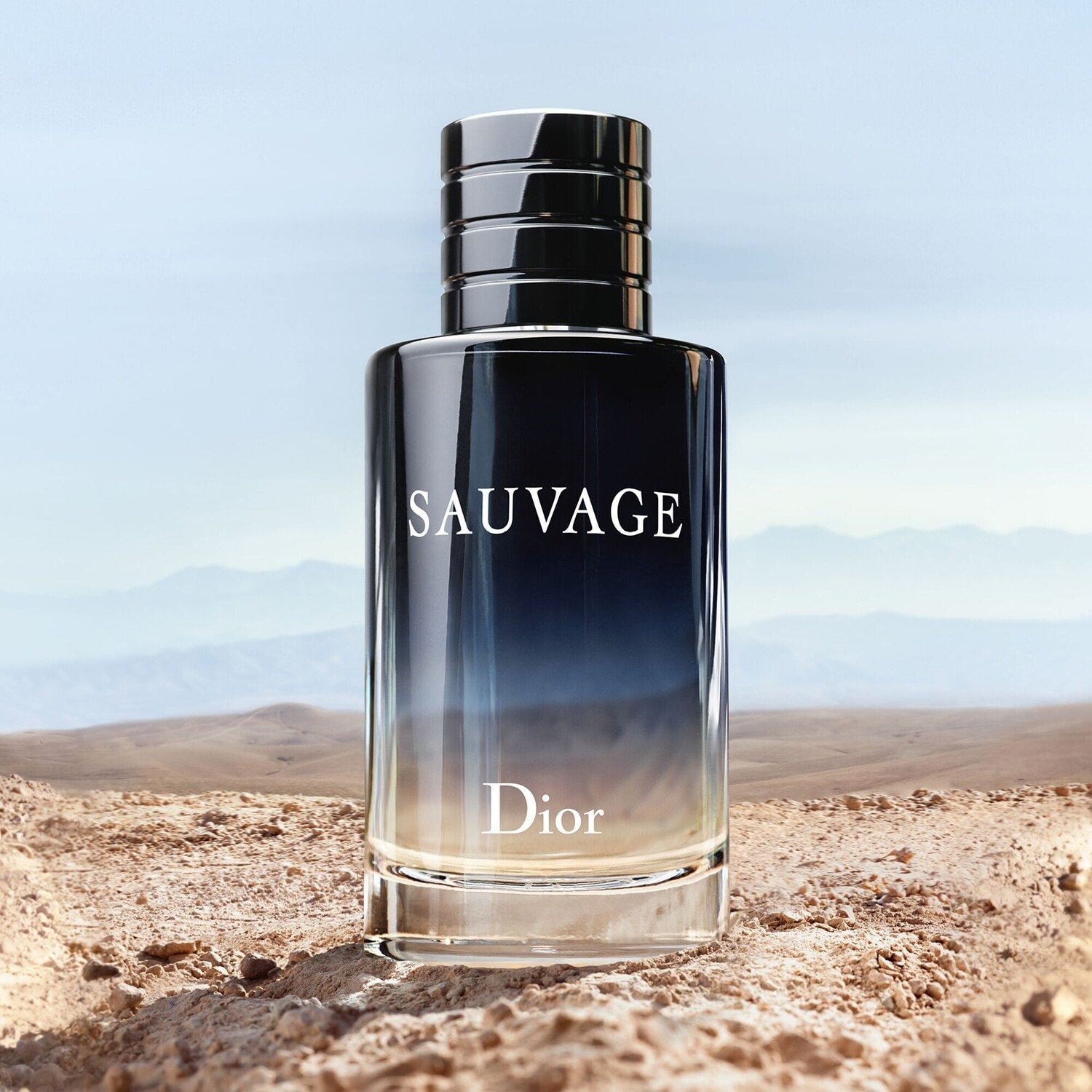 DIOR - SAUVAGE - Eau de Toilette